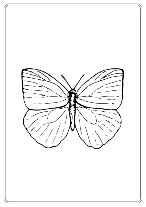Butterfly Coloring Worksheet for Kids - Image 2