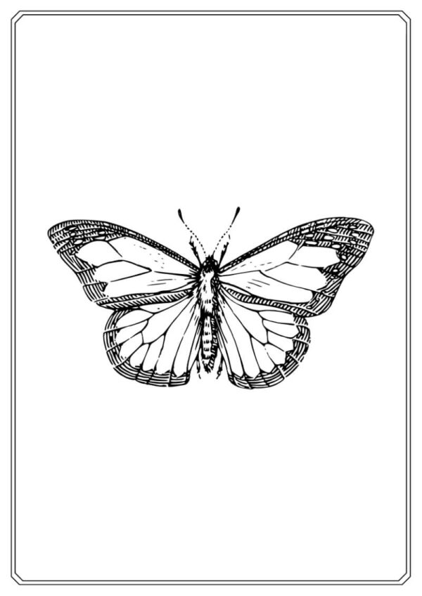 Butterfly Coloring Worksheet for Kids - Image 3