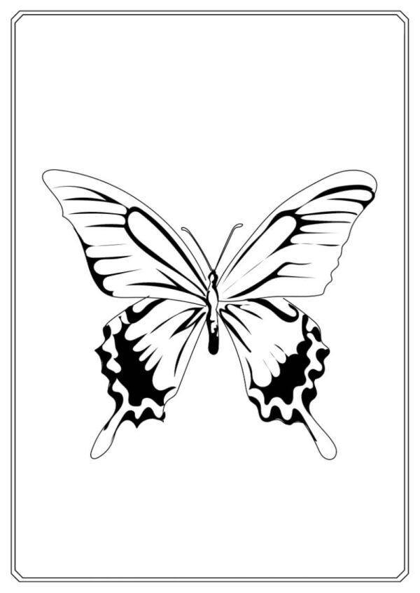 Butterfly Coloring Worksheet for Kids - Image 4