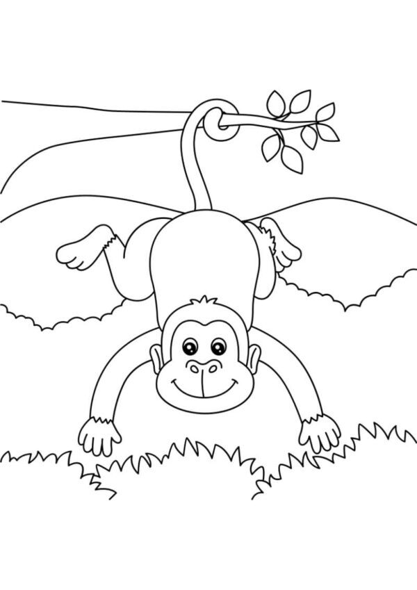 Animals Coloring Pages for Kids - Image 3