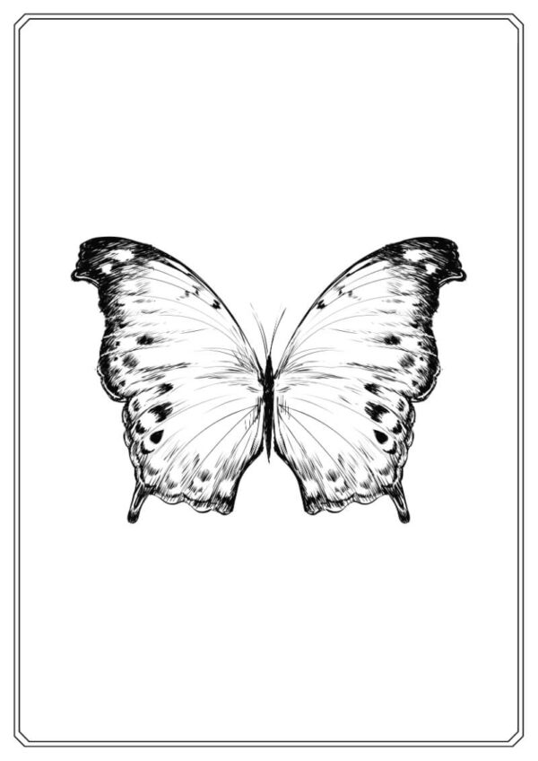 Butterfly Coloring Worksheet for Kids - Image 5