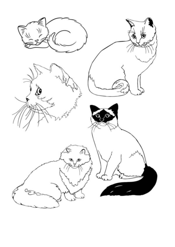 Farm Animals Coloring Worksheets for Kids - Image 2