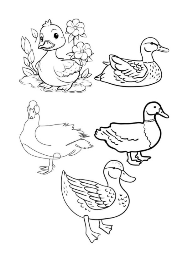 Farm Animals Coloring Worksheets for Kids - Image 3