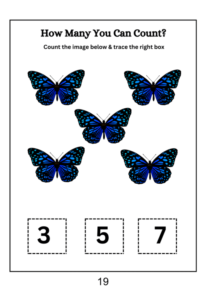 Easy Butterfly Counting Worksheet – SHOP