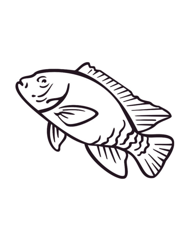 Animals Coloring Worksheets - Image 2
