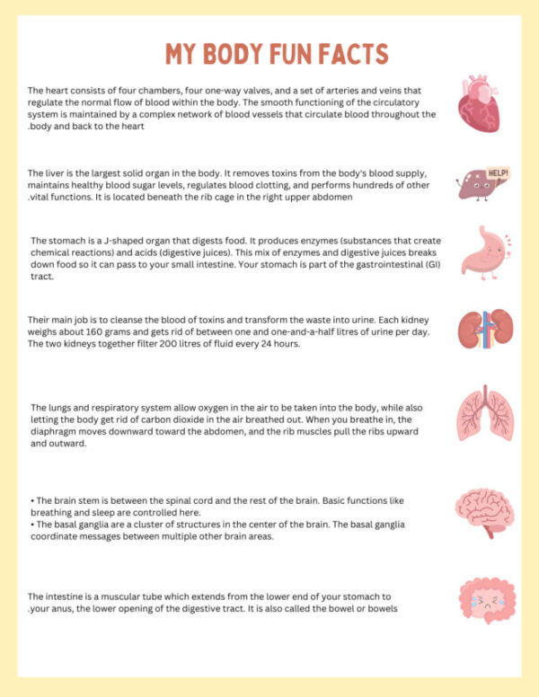 My Body Organs & Fun Facts