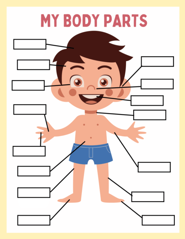 My Body Parts Worksheet and Flashcards - Image 2