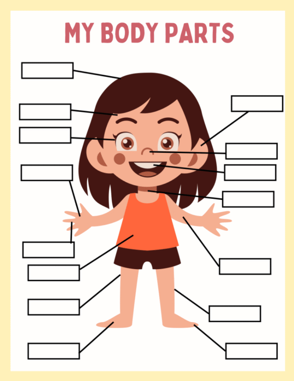 My Body Parts Worksheet and Flashcards - Image 4