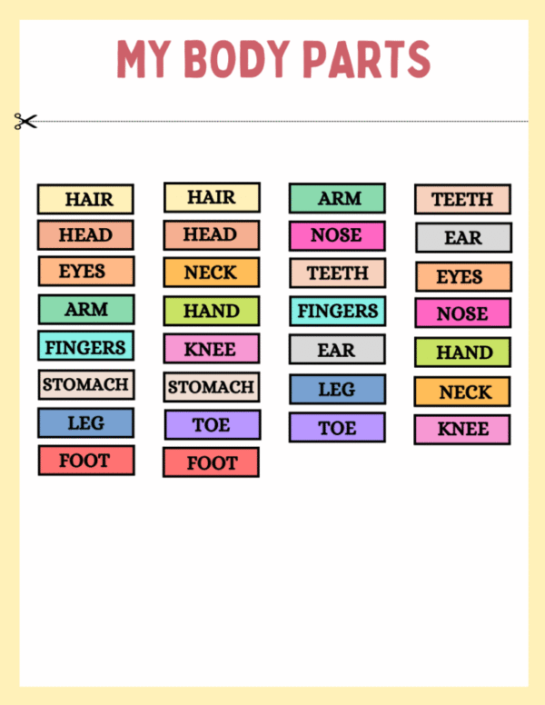 My Body Parts Worksheet and Flashcards - Image 5