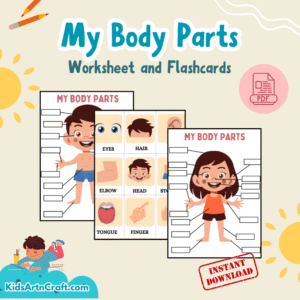 My Body Parts Worksheet and Flashcards