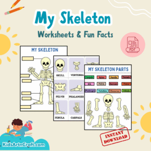 My Skeleton Worksheets and Fun Facts