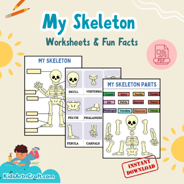 My Skeleton Worksheets and Fun Facts