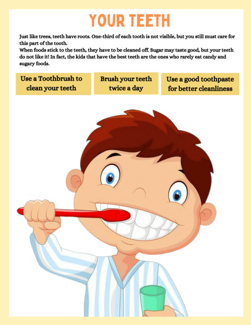 My Teeth Worksheet